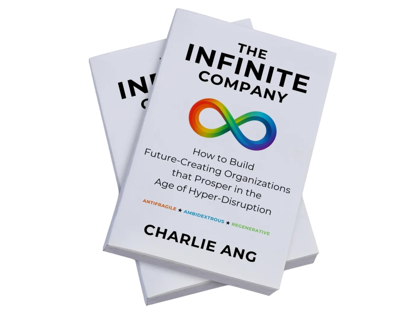 The Infinite Company book soft cover