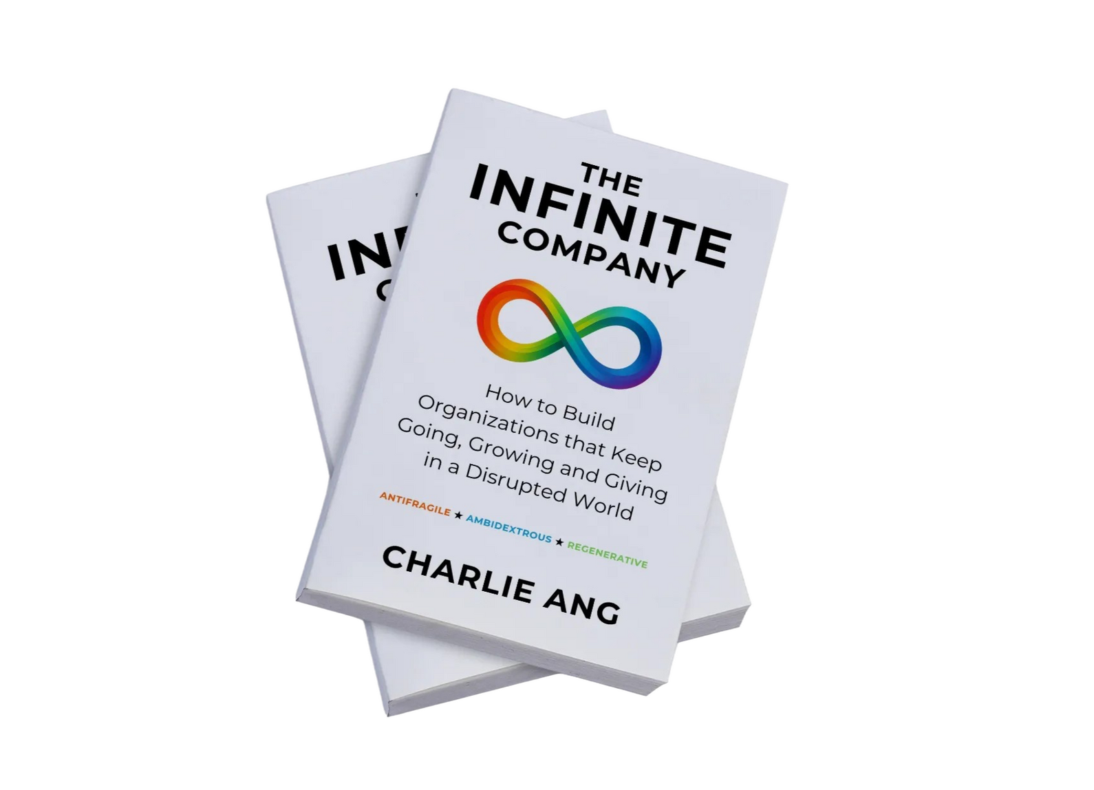 The Infinite Company book soft cover