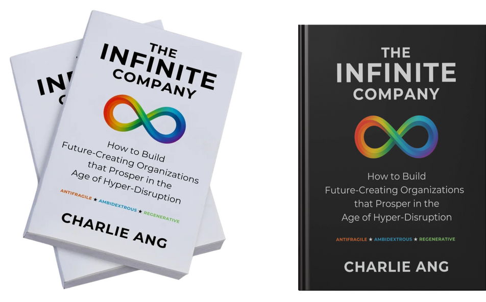 The Infinite Company book covers