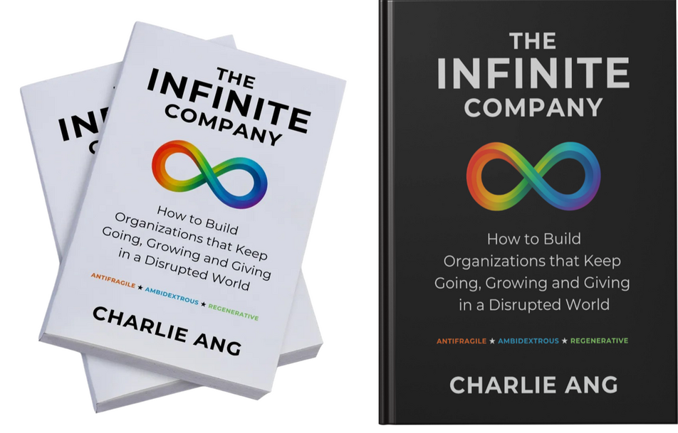 The Infinite Company book covers